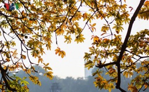 Thời tiết 3 miền dịp Tết Nguyên đán Mậu Tuất 2018