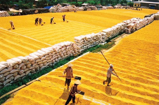 An Giang đoàn kết, nắm bắt thời cơ, vượt qua thách thức, bứt phá để phát triển