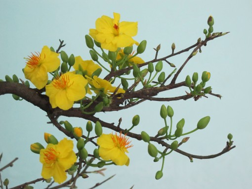 LỜI CẢM ƠN