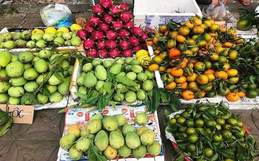 Người dân miền Tây hối hả tìm mâm ngũ quả ưng ý cho ngày Tết.