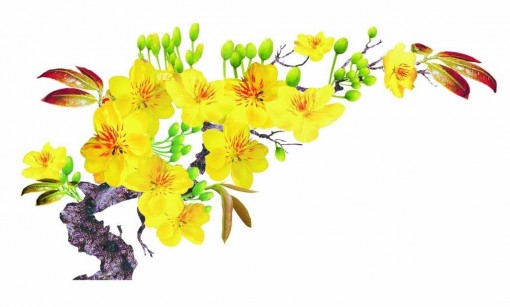 Chủ tịch UBND tỉnh Vương Bình Thạnh chúc mừng năm mới xuân Mậu Tuất 2018
