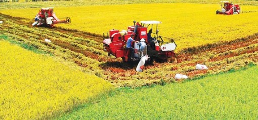Sức bật mới cho ĐBSCL