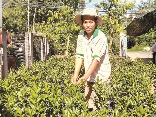 Khởi sắc làng quê