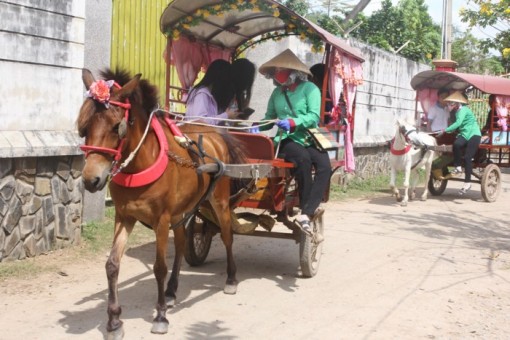 Những nữ xà ích đón xuân trên yên ngựa miền Tây