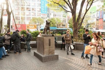 Câu chuyện về bức tượng Hachiko - chú chó trung thành ở Nhật Bản