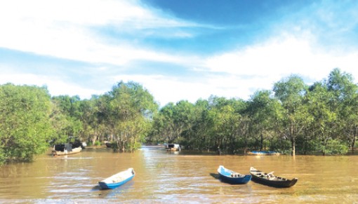 Những vạt rừng mang tên các anh