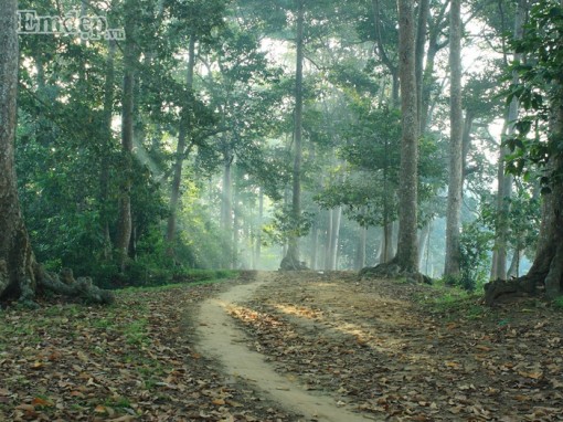 Đầu năm muốn yên bình, cứ đến Trà Vinh nghỉ dưỡng