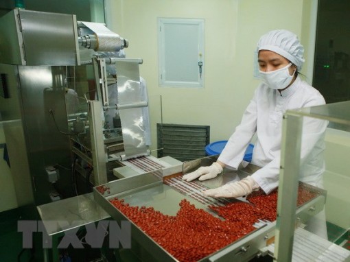 Tăng tỷ lệ sử dụng thuốc nội địa tại các bệnh viện tuyến tỉnh, huyện