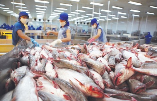 Thủy sản Việt Nam với kỳ vọng xuất khẩu 9 tỷ USD