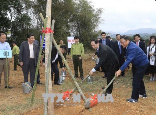 Chủ tịch nước phát động và tham gia 'Tết trồng cây đời đời nhớ ơn Bác Hồ' Xuân Mậu Tuất