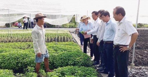 Cần Đước: Trên quê hương đổi mới