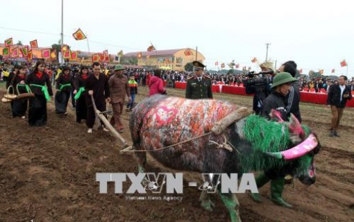 Khai hội Tịch điền Đọi Sơn năm 2018