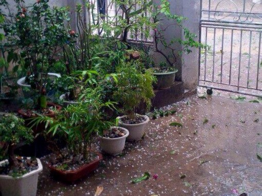 Không khí lạnh tăng cường, Bắc Bộ mưa nhỏ, Trung Bộ đề phòng mưa đá