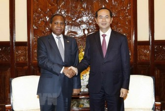 Chủ tịch nước tiếp Đại sứ Mozambique chào kết thúc nhiệm kỳ