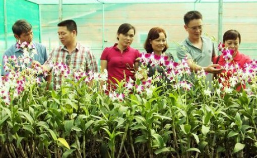 Vĩnh Long: Nông nghiệp phát huy đà tăng trưởng