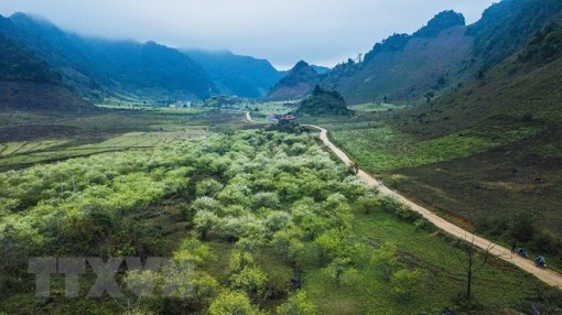 Hai ngày cuối tuần Bắc Bộ vẫn rét, Nam Bộ có nắng nóng