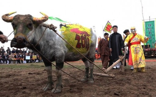 Tưng bừng lễ hội Xuân 2018