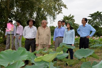 Châu Thành nâng chất lượng hoạt động hội và phong trào nông dân