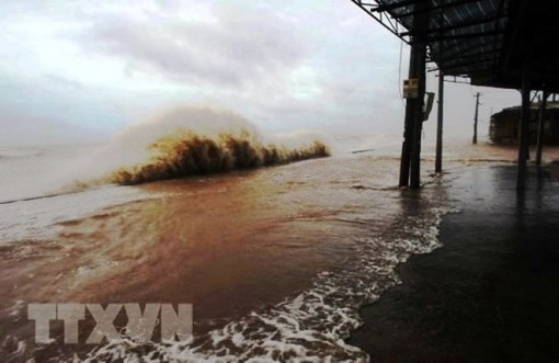 Việt Nam đăng cai tổ chức lễ kỷ niệm 50 năm thành lập Ủy ban Bão