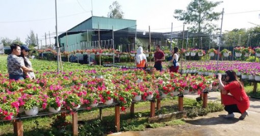 Tăng tốc sau tết