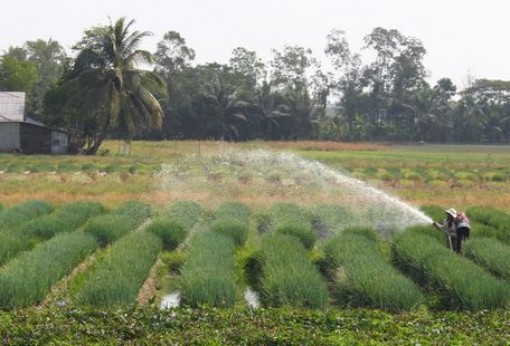 Những câu chuyện đầu năm bên xóm rẫy
