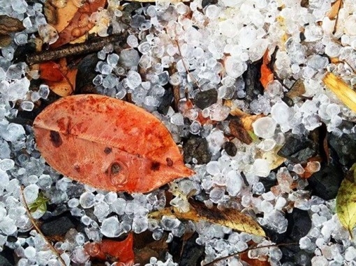 Việt Nam có thể dự báo được giông lốc, vòi rồng, mưa đá từ năm 2020