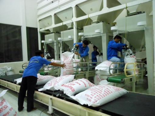 Xuất khẩu gạo có dấu hiệu khởi sắc