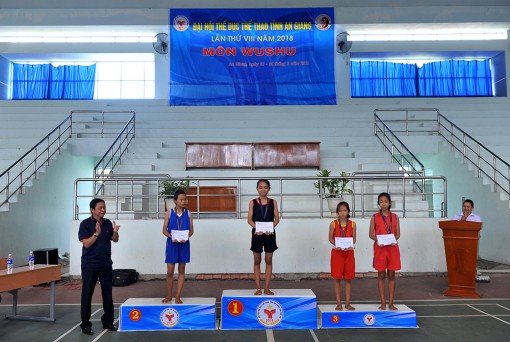 Trao giải môn Wushu Đại hội Thể dục- Thể thao tỉnh
