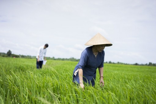 Tháng Ba, mẹ ra đồng…