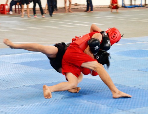 Tạo đà để Wushu phát triển