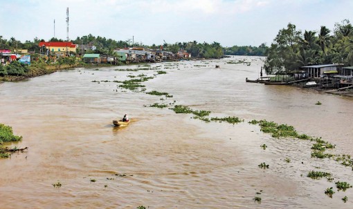Tăng cường năng lực ứng phó biến đổi khí hậu