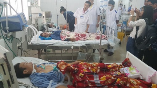 Ăn cá nóc, 5 người nhập viện cấp cứu