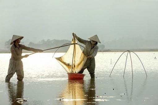 Vẻ đẹp tảo tần của phụ nữ Việt Nam trong lao động