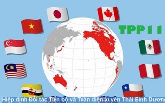 63% doanh nghiệp tại Việt Nam kỳ vọng CPTPP tác động tích cực