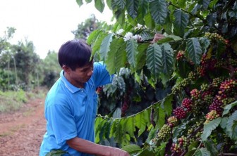 Làm gì để nâng cao giá trị nông sản Việt Nam sau thu hoạch