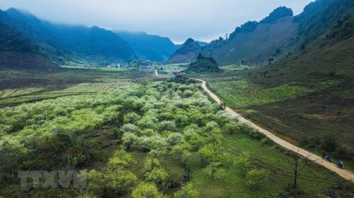 Các tỉnh Bắc Bộ nắng ấm, Nam Bộ khô nóng, có nơi trên 35 độ C