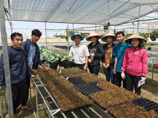Đào tạo nguồn nhân lực khoa học - công nghệ