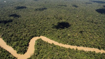Rừng Amazon sắp mất nửa số loài vì biến đổi khí hậu?