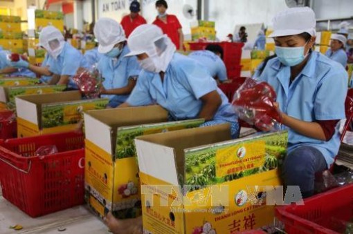 Nắm thời cơ từ tín hiệu thị trường