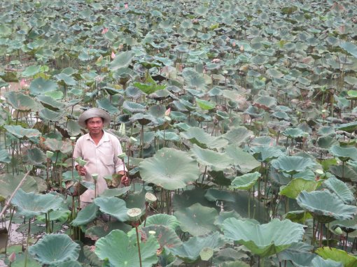 Núi Sập vươn tầm phát triển