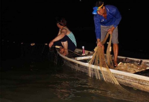 Cao điểm săn cá bông lau ở miền Tây