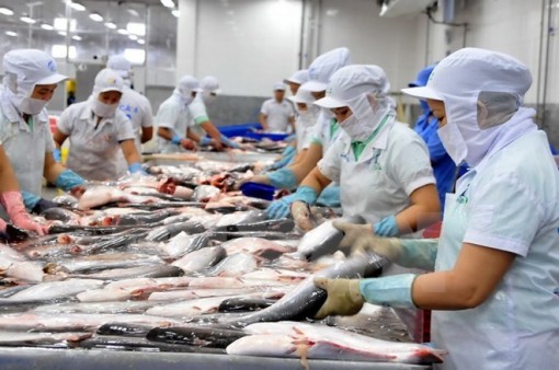 Doanh nghiệp thủy sản Việt bị ảnh hưởng thế nào vì mức thuế của Mỹ?