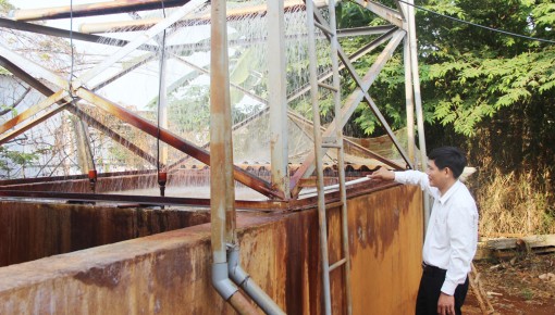 Nước về vùng hạ
