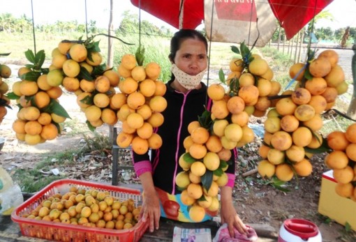 Thanh trà tăng giá gần gấp đôi năm ngoái