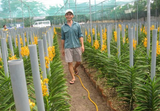 Tấm lòng nguyên Thủ tướng Phan Văn Khải với nông dân