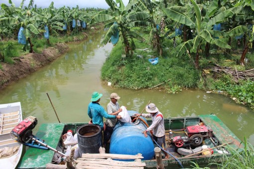 Hướng đi mới cho kinh tế An Giang