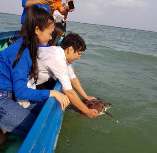 Thả đồi mồi quý hiếm nặng 9kg về tự nhiên