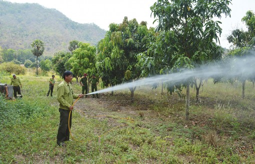 Chủ động bảo vệ rừng mùa khô