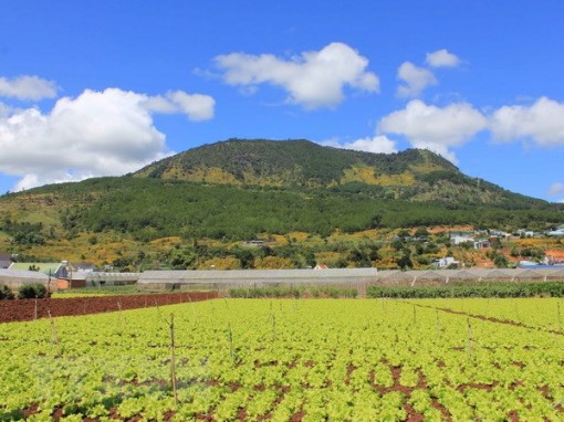 Từ trưa 29-3, miền Bắc hửng nắng, miền Nam nắng nóng 32-34 độ C