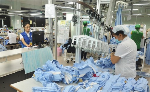 Cần Thơ: Kim ngạch xuất khẩu tăng trưởng 20%